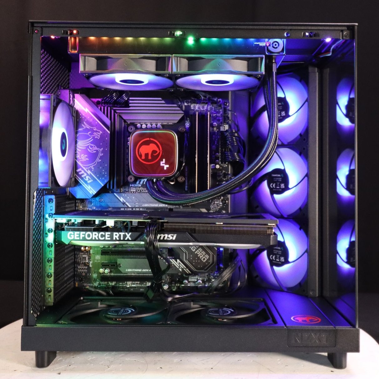 Stegodon Signature PC 2024